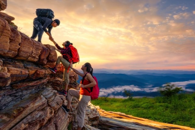 Trauma Driven Supoort